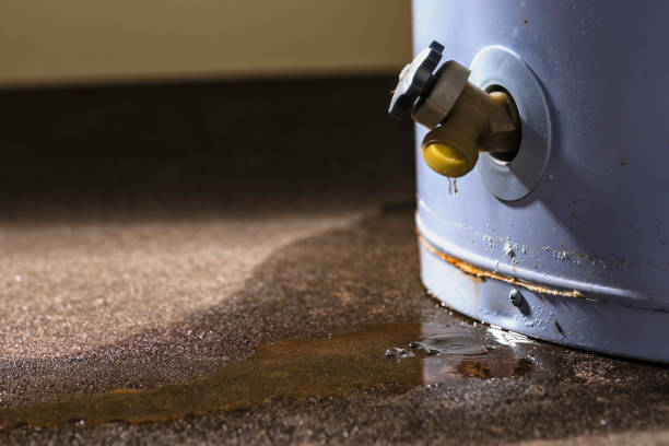 Best Mold removal after water damage  in Stigler, OK