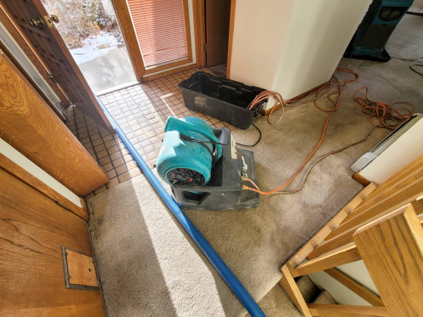 Best Carpet water damage restoration  in Stigler, OK