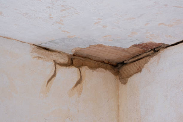 Best Water damage cleanup near me  in Stigler, OK