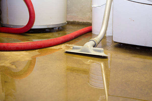 Best Water damage contractors near me  in Stigler, OK