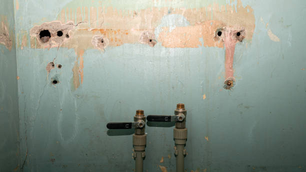 Best Ceiling water damage repair  in Stigler, OK
