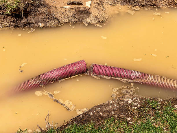 Best Water damage restoration insurance claims  in Stigler, OK