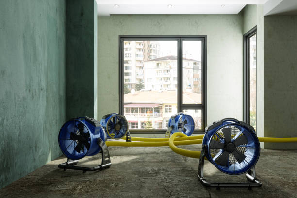 Carpet water damage restoration in OK